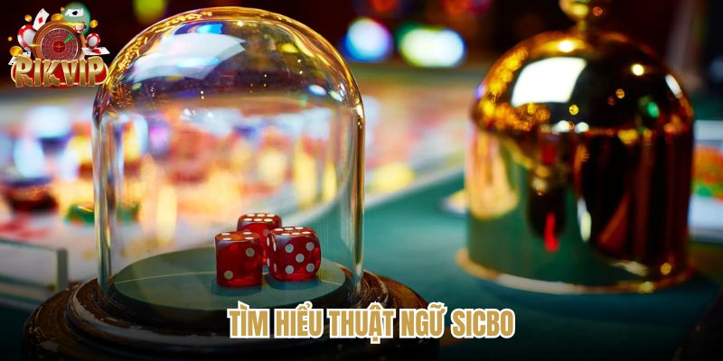 Tìm hiểu các thuật ngữ ấn tượng trong game